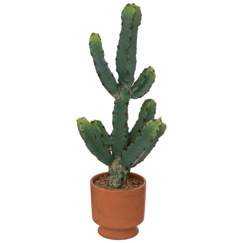 Atmosphera - Cactus artificiel Ali rose terracotta H49cm créateur d'intérieur