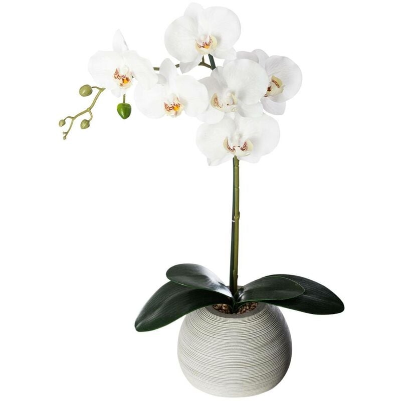Atmosphera - Orchidée artificielle pot ciment H53cm créateur d'intérieur