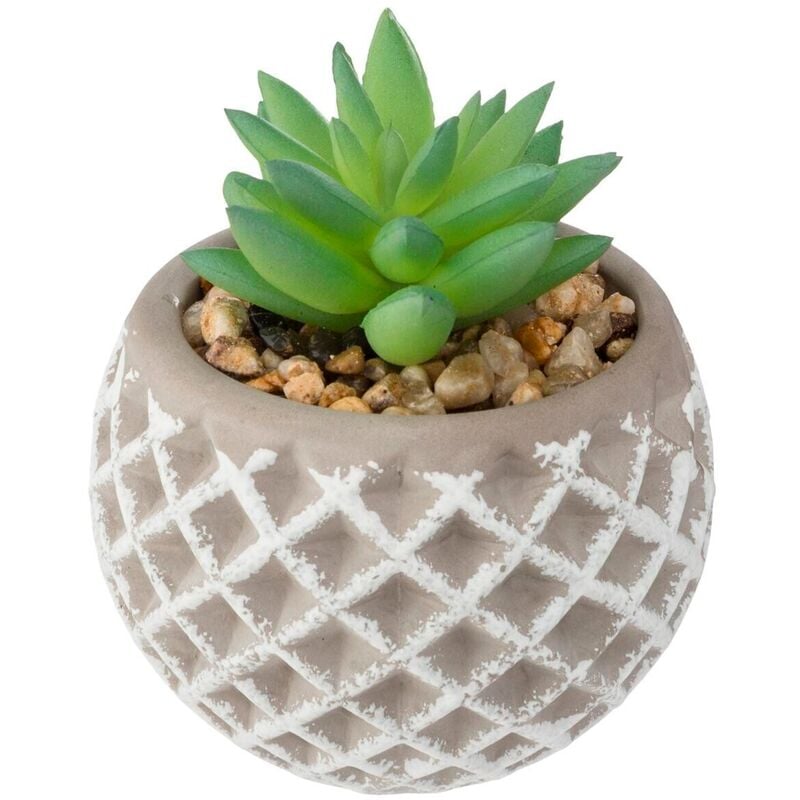 Pot à succulentes en ciment