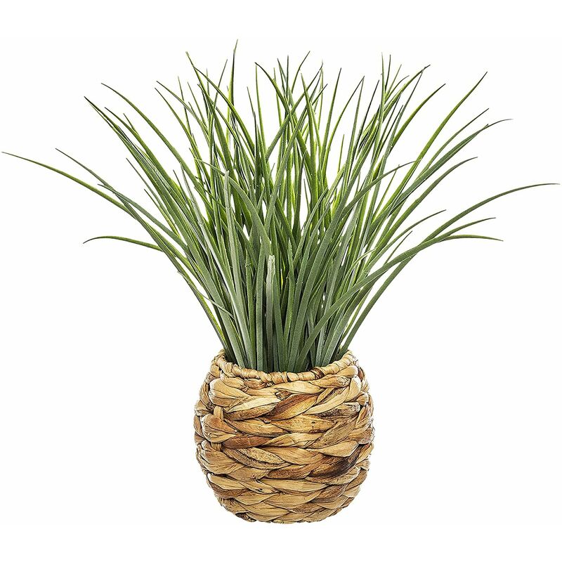 Atmosphera - Pot tressé décoratif avec feuilles de jacinthe et plante décorative