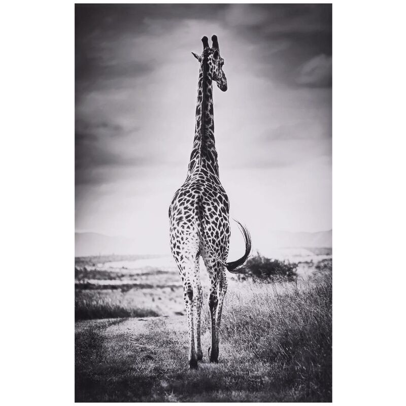 Toile encadrée Animaux 75x115cm Atmosphera créateur d'intérieur