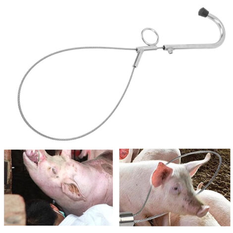 [Atrapador de cerdos] Atrapador de cerdos profesional, acero inoxidable 304, mango seguro para granjas.