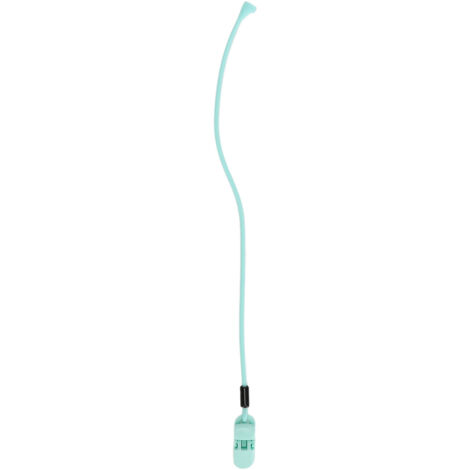 Attache Anti-Perte pour Appareil Auditif, Cordon en Silicone avec Clip et Lumière Bleue pour Aides Auditives Monauraux