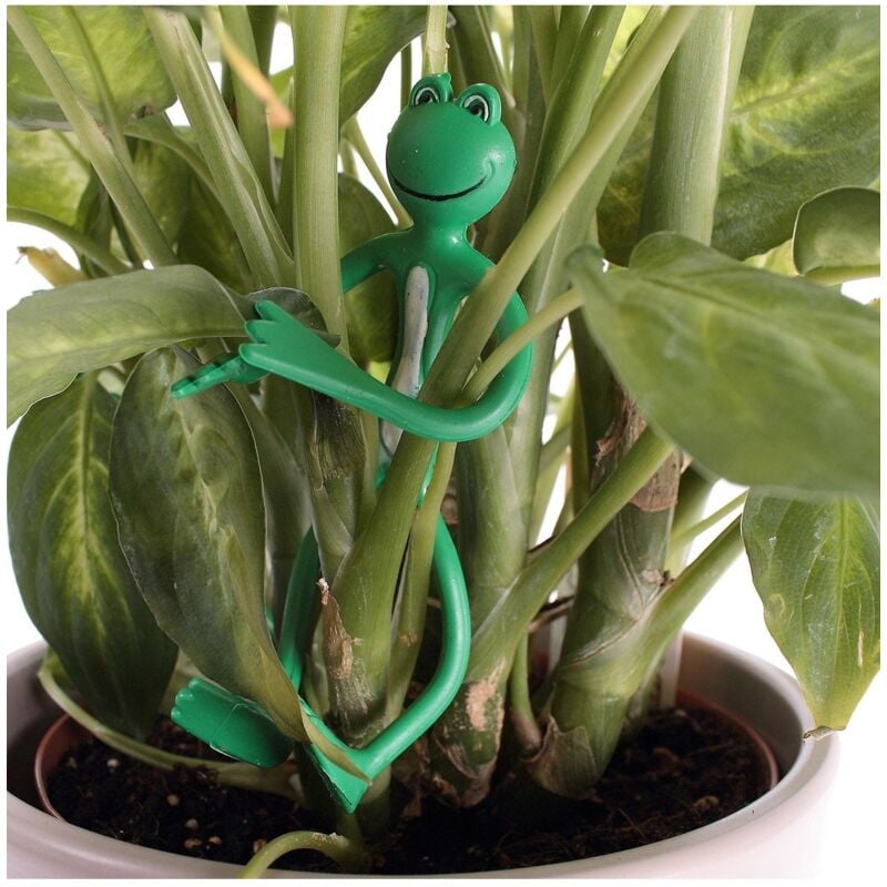 Attache-plantes forme grenouille - lot de 2 - Vert - Astuceo