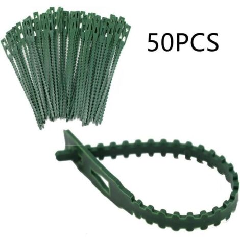 Attaches pour plantes - 17 cm de long - Clips robustes pour petites et grandes pousses, treillis, arches de roses, tuteurs, 50 pièce