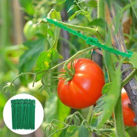 Attaches pour plantes réglables, attaches torsadées en plastique flexible, attaches pour câbles de jardin