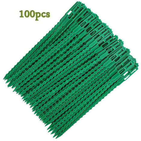 Attaches réglables pour plantes lot de 100 - Liens de serrage en plastique pour jardin - Serre câbles réutilisables pour plantes vertes et arbustes,13cm