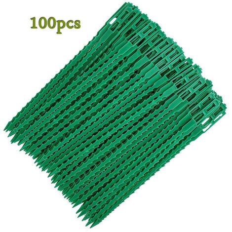 Attaches réglables pour plantes lot de 100 - Liens de serrage en plastique pour jardin - Serre câbles réutilisables pour plantes vertes et arbustes,13cm