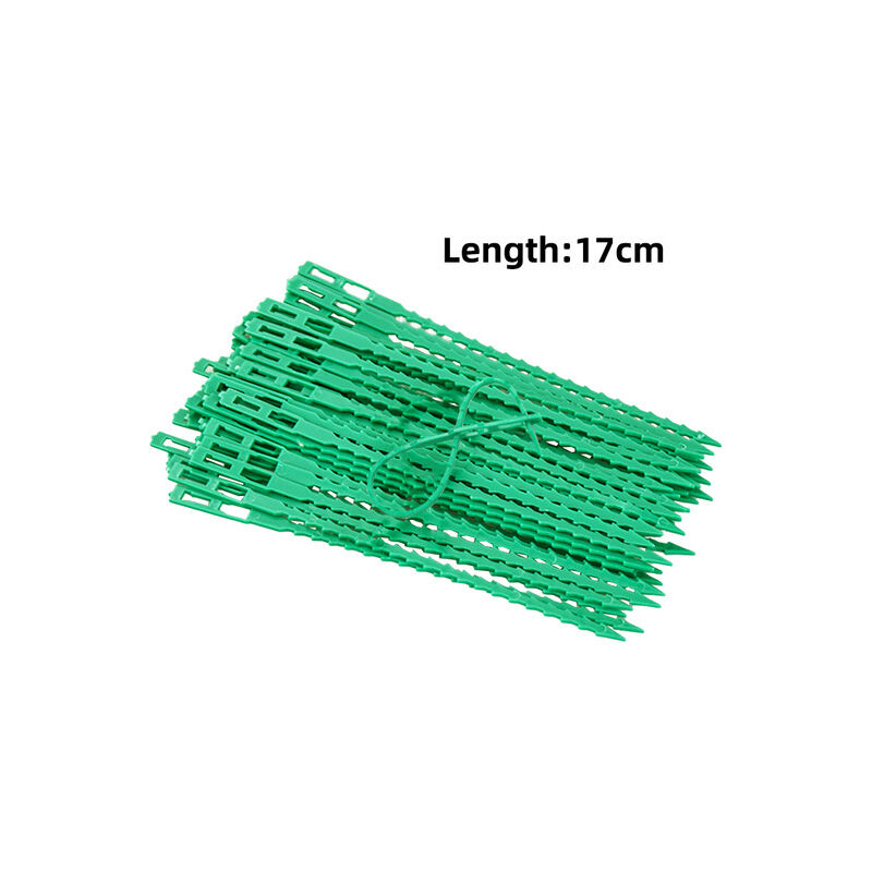 Attaches réutilisables pour arbustes Jardinage Arbre Support de grimpe Vigne Tige de tomate Clips - Vert, 17cm, 500pcs