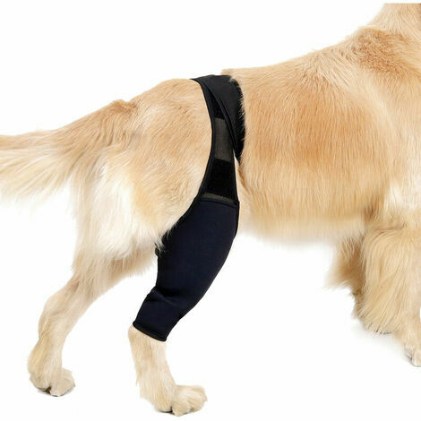 Attelle de jambe arrière pour chien, manchon de récupération pour blessure, entorse, soulagement de la douleur, petit noir