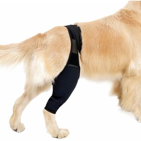 Attelle De Soutien Pour Patte De Chien - Avant Arrière - Taille XS - Pour Entorse Et Rééducation - 1 Pièce