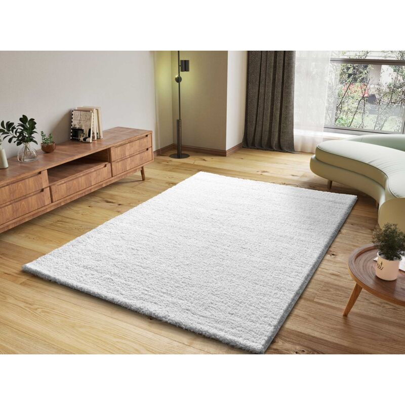 Atticgo - Tapis shaggy uni toucher doux atlas Blanc 60x120 cm