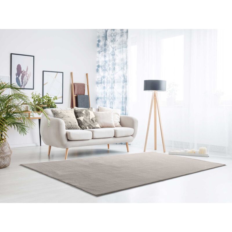 Atticgo - Tapis uni lavable toucher doux loft Pierre 200x290 cm