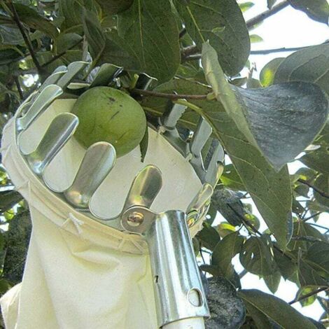 Attrezzo per la raccolta della frutta, raccoglifrutta, attrezzi da giardinaggio, raccoglifrutta in metallo con sacco per la raccolta di mele, agrumi, pere e pesche.