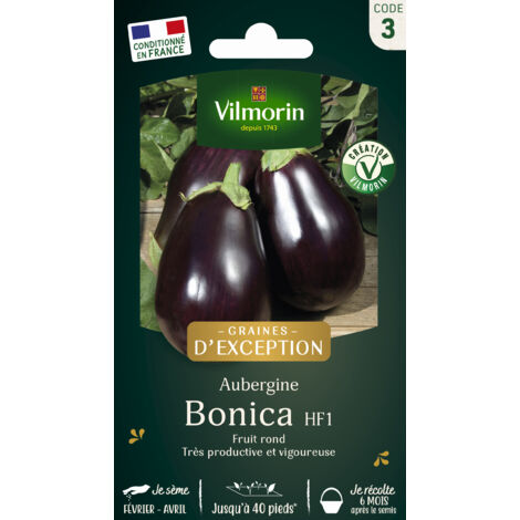 Aubergine Bonica HF1 - Graines d'Exception Vilmorin
