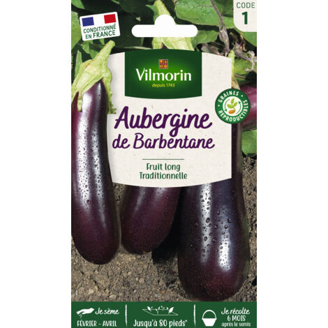 Aubergine de Barbentane – Graines de potager – Semis en avril – Récolte d'août à octobre – Fruits allongés 20-25 cm – Vilmorin