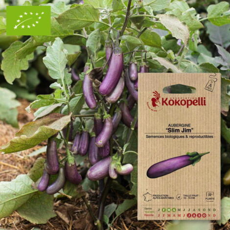 Aubergine Slim Jim