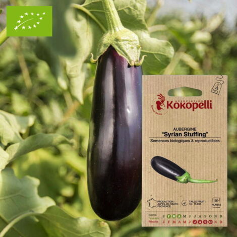 Aubergine Syrian Stuffing