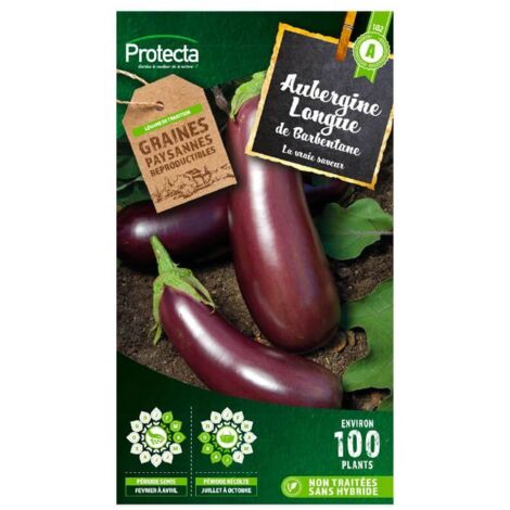 Aubergine violette de Barbentane