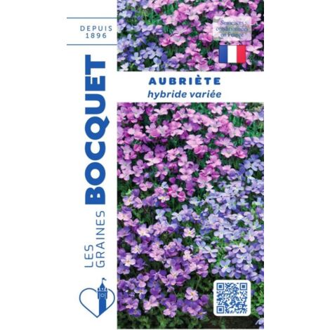 Aubriétia purpuréa hybride variée - 0,3g