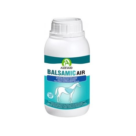 main image of "Audevard Balsamic Air 500 ml"