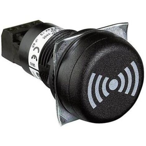 Auer Signalgeräte Signalsummer  812510405 ESV  Dauerton, Pulston 12 V/DC, 12 V/AC, 24 V/DC, 24 V/AC
