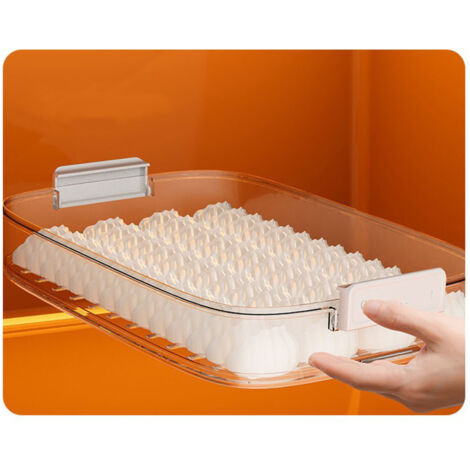 Aufbewahrungsbox für Teigtaschen und andere Lebensmittel. Transparente PP-Box, 31 x 22 x 6,5 cm, mit luftdichtem Deckel für Kühlschrank und Küche.