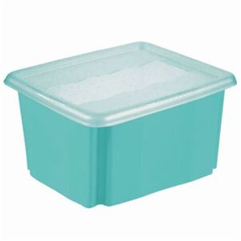 Geteilte Behälter mit transparenten Deckeln Serviertablett – 4 separate  Aufbewahrungsfächer aus Kunststoff mit Deckel – für Süßigkeiten, Obst