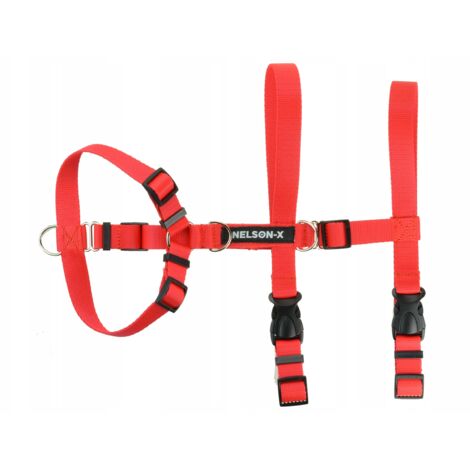 AUSBRUCHSCHUTZGURT EASY GUARD WALK NELSON-X S