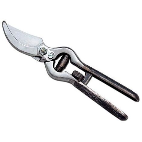 Ausonia 31003 Forbice Vigna 21cm