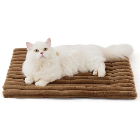 auto chauffant pour chat Tapis d hiver thermique pour