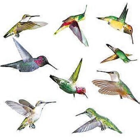 Autocollant anti-collision 3D pour fenêtres avec oiseaux - Nouveaux autocollants colibris pour éviter les collisions avec les fenêtres, balcons, terrasses et vérandas