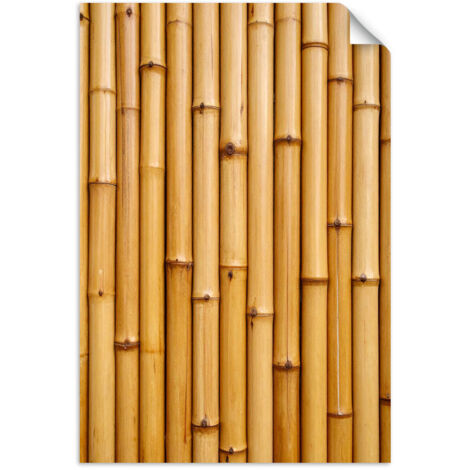 Autocollant mural Bambou plante nature 80x120