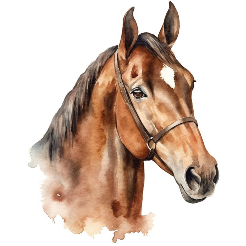 Autocollant mural buste de cheval