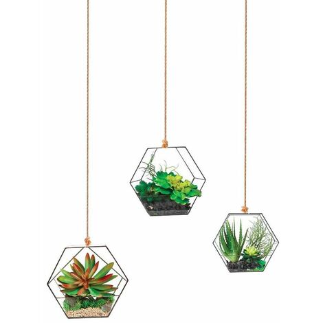 Autocollant Mural Suspensions Plantes