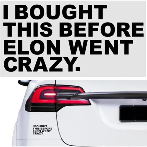 Autocollant pour voiture, « I Bought This Before Elon Went Crazy » pour fenêtres ou vernis, pare-chocs, en vinyle, durable et résistant aux intempéries, motif de regret (Noir)