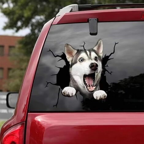 Autocollant pour voiture, SUV, vitre, Pitbull Crack Rottweiler Crack