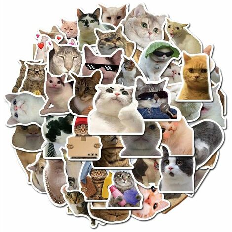 Autocollants Chat Muraux 3D - Paquet de 2 16.518cm Autocollants Décoratifs  Drole - Stickers Chat Noir Effronte