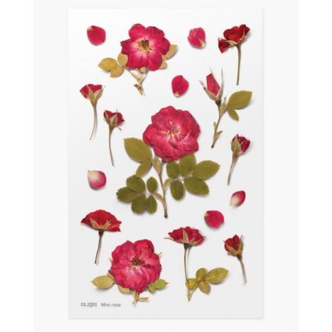 Autocollants décoratifs de fleurs Roses