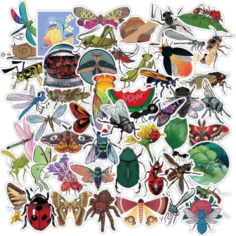 autocollants Pack 50 Pcs Vinyle Graffiti Stickers Pour Ordinateur Portable Voiture Planche  Roulettes Moto Vlo Bagages Pare-chocs Bombe Autocollan