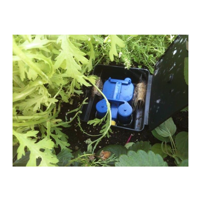 Automatic Plant Watering System Aquabox