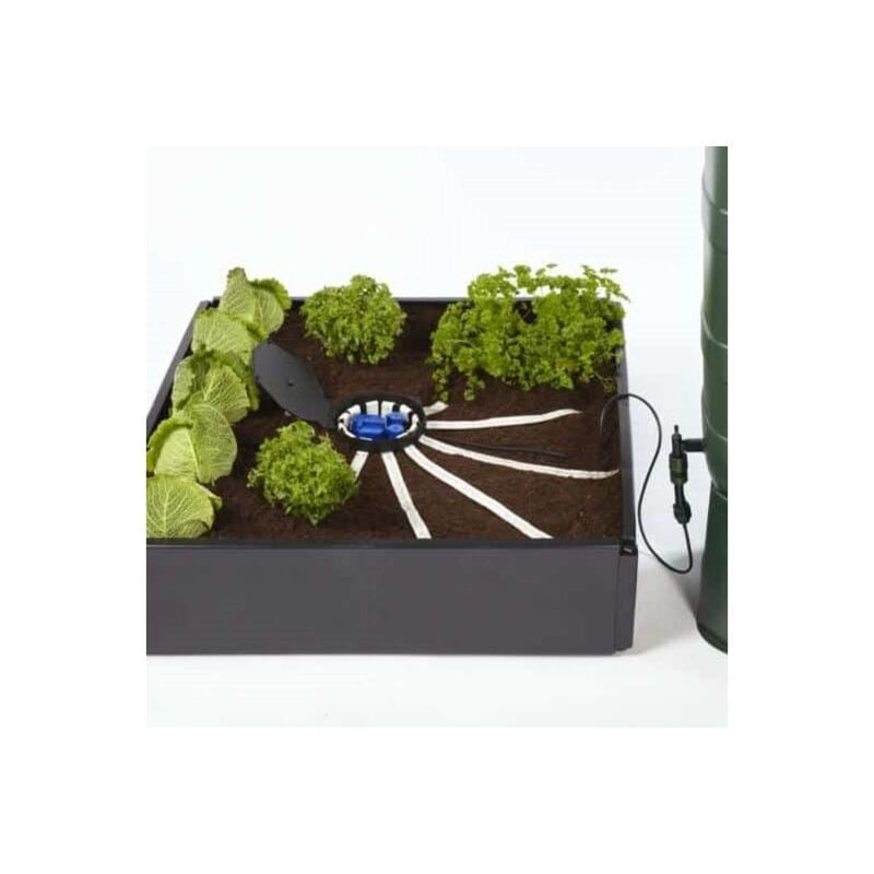 Automatic Plant Watering System Aquabox Spyder