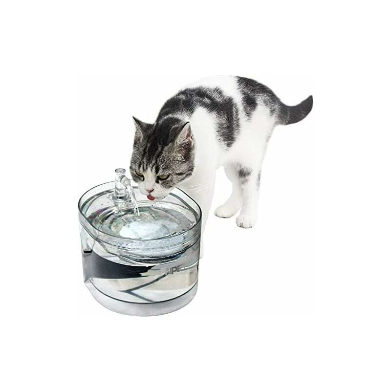 Fontaine à eau et distributeur d'eau pour chat Automatique Fontaine à Eau pour Chat Chien, Distributeur Eau pour Animal Domestique Filtre, 1,6L