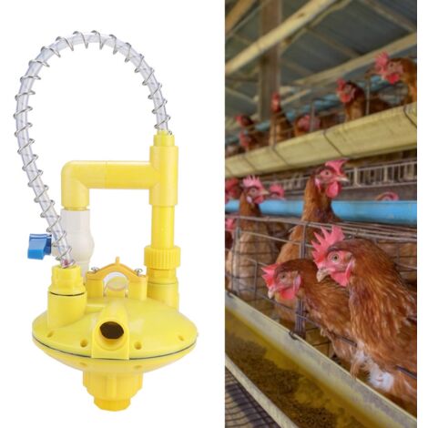 Automatischer Druckminderer für die Wasserleitung der Geflügeltränke.