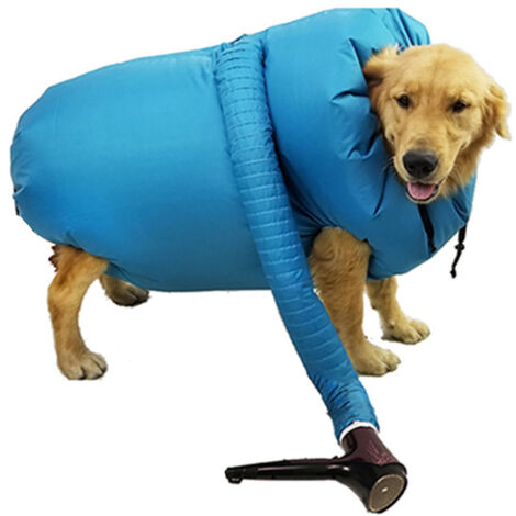 Automatischer Hunde- und Katzenhaartrockner, Tierhaartrockner, Hundetrockner, Hundetrockner, Katzentrockner, Hundehaartrockner, Katzenhaartrockner, Tierhaartrockner, Hunde- und Katzenhaartrockner, Tie