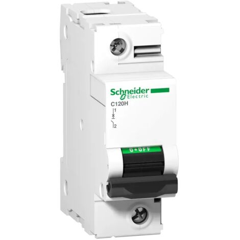Automatischer magnetothermischer Schalter C120H 1P 125A Kurve-C - SCHNEIDER ELECTRIC
