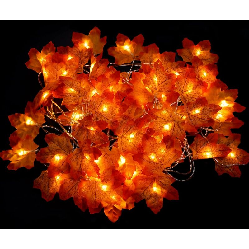 Image of Autumn Lights Autumn Home Decorations, Total 19.6ft 60 LEDs [Pack of 2] Illuminated Autumn Garland, Autumn Leaves, Indoor and Outdoor Decor, Autumn