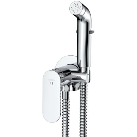 Avapax  Robinet de bidet - Avec flexible et douchette de bidet - Acier inoxydable - Commande monocommande - Résistant à la corrosion