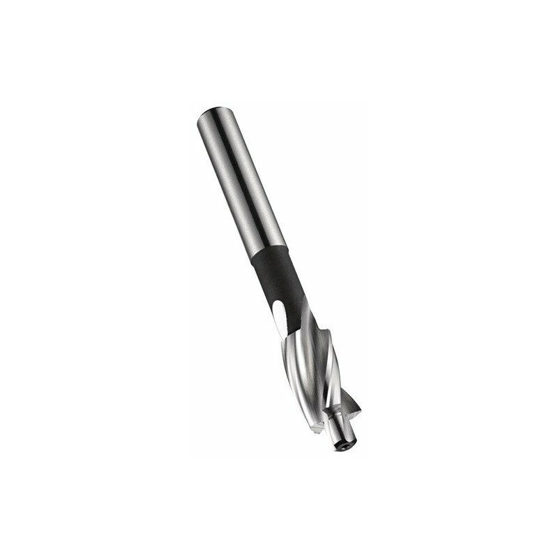 

Avellanador M3 HSS Blank Z.3 - Dormer
