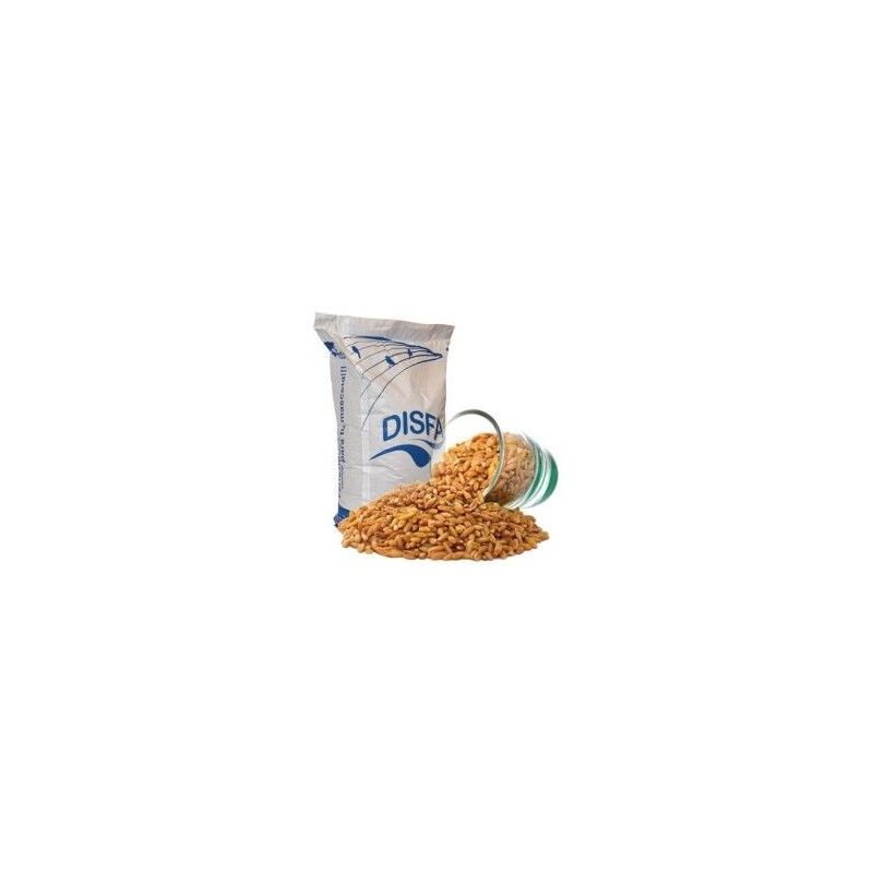 

semilla de Avena pelada para aves 4 kg - Disfa